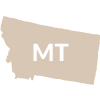 MT-1